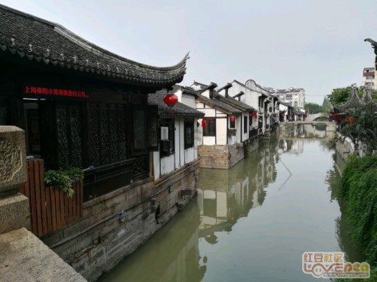逗小猴开心系列199